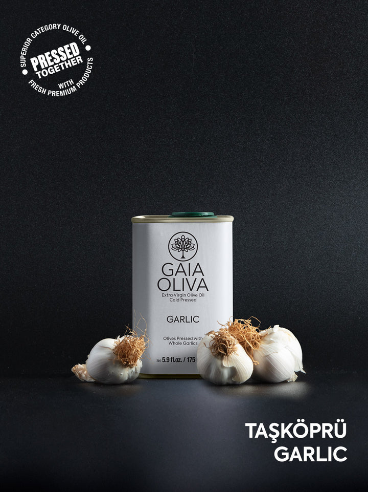 tin of Gaia Oliva Garlic Extra Virgin Olive Oil with fresh garlic cloves, black background